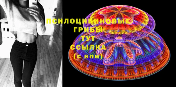 прущие грибы Баксан