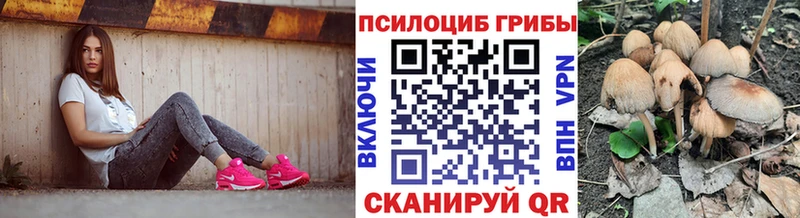 Псилоцибиновые грибы мухоморы Покровск